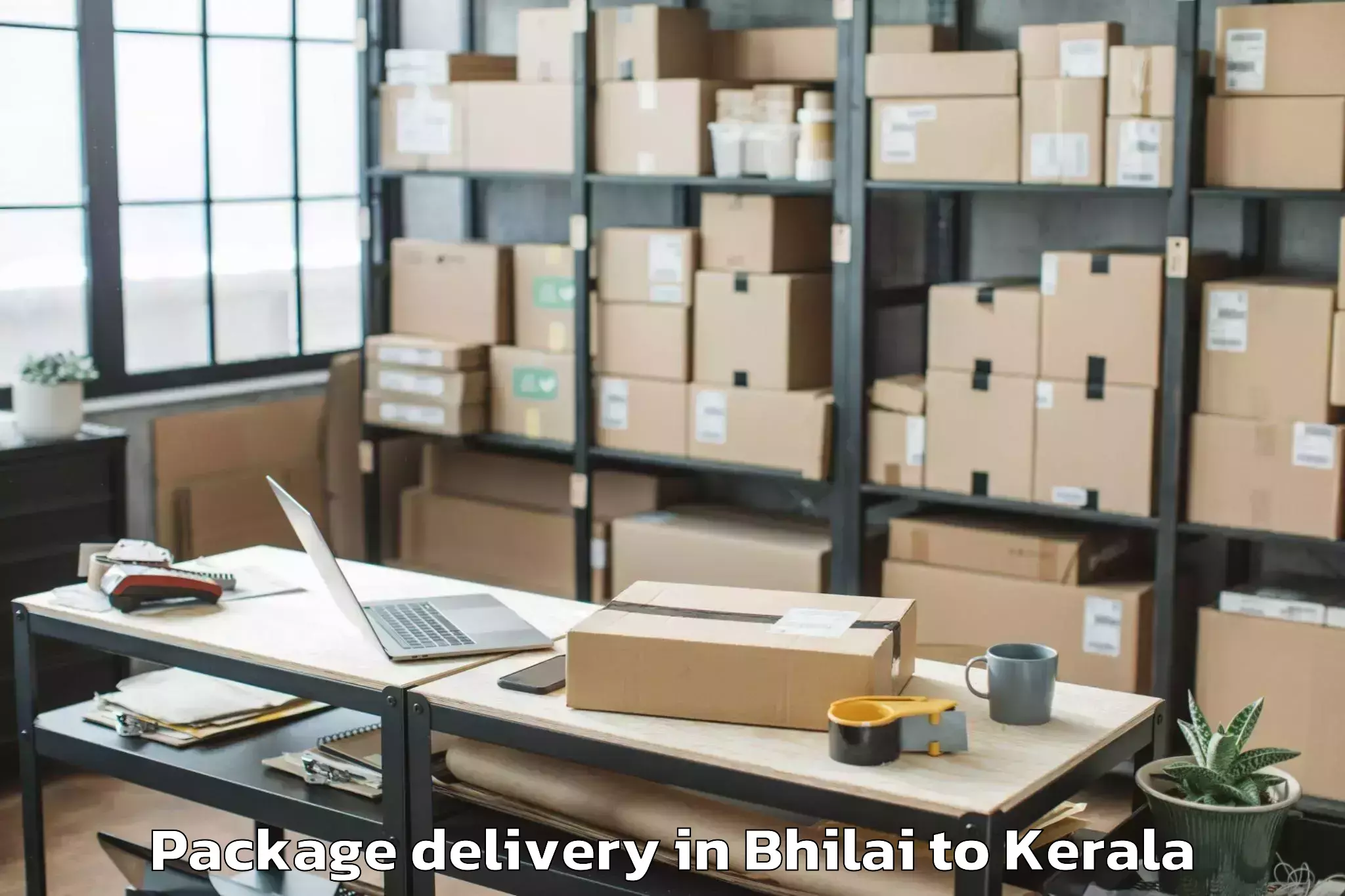 Top Bhilai to Kerala Kalamandalam Cheruthuru Package Delivery Available